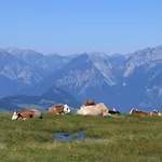 Appartamento Schatzberg Haus Auffach *