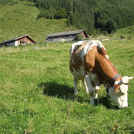 Schatzberg Haus Auffach Apartmán Wildschoenau
