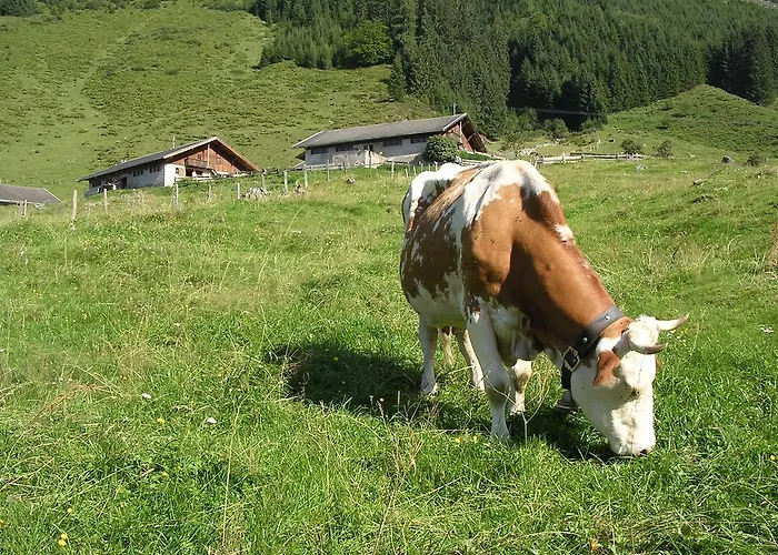 Schatzberg Haus Auffach Appartamento Wildschoenau