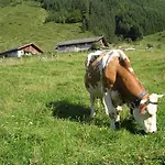 Schatzberg Haus Auffach Daire Wildschoenau