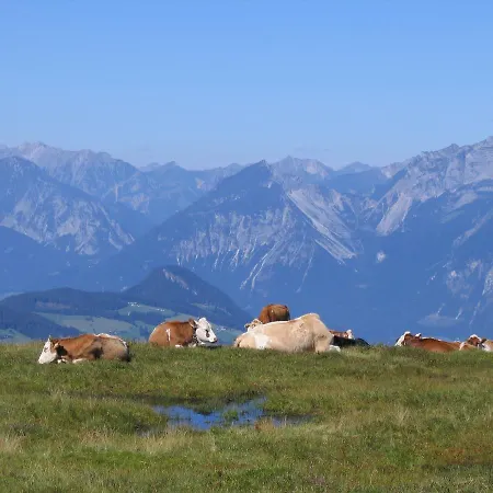 Apartment Schatzberg Haus Auffach *